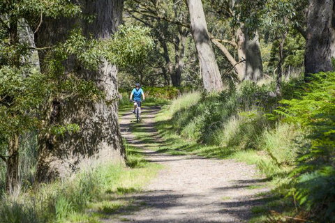 Fit Tours - Attractions Melbourne 15