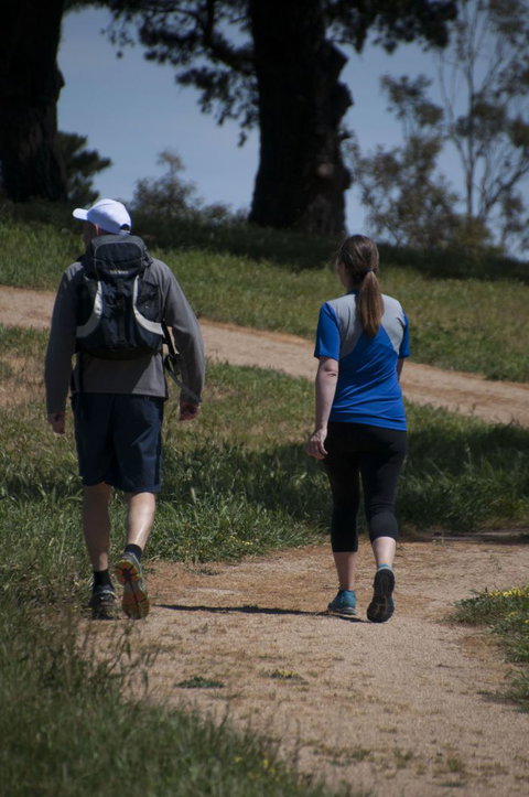 Fit Tours - Attractions Melbourne 21