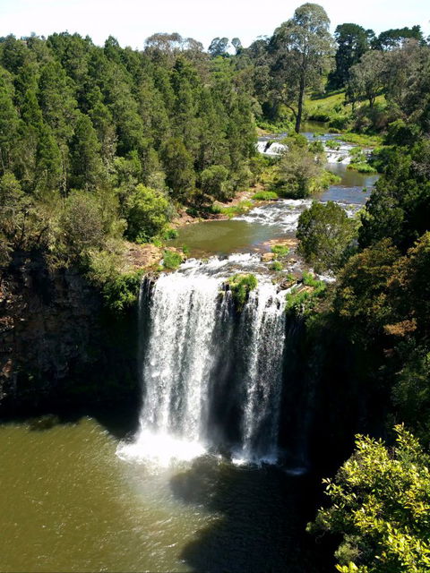 A1 Coffs Coast Tours - Attractions Melbourne 5