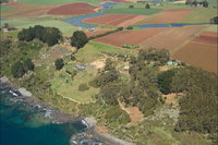 Book Table Cape Accommodation Vacations Attractions Melbourne Attractions Melbourne