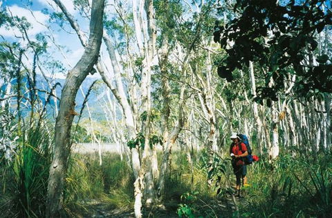 Thorsborne Trail, Hinchinbrook Island National Park - Attractions Melbourne 0