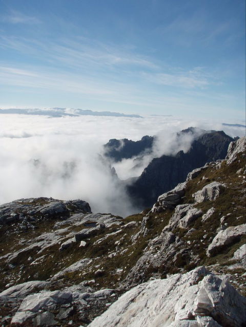 Trek Tasmania - Attractions Melbourne 5