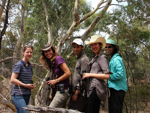 Echidna Walkabout Nature Tours - Attractions Melbourne 4