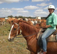 Myella Farm Stay Tours - Attractions Melbourne