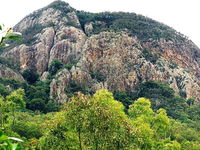 Mount Greville Track