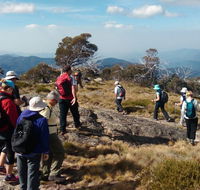 Hedonistic Hiking - Attractions Melbourne