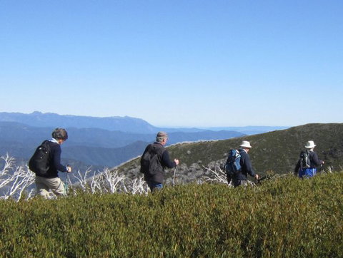 Hedonistic Hiking - Attractions Melbourne 6