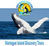 Lighthouse Charters Narooma - Attractions Melbourne