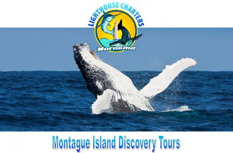 Lighthouse Charters Narooma - Attractions Melbourne 0