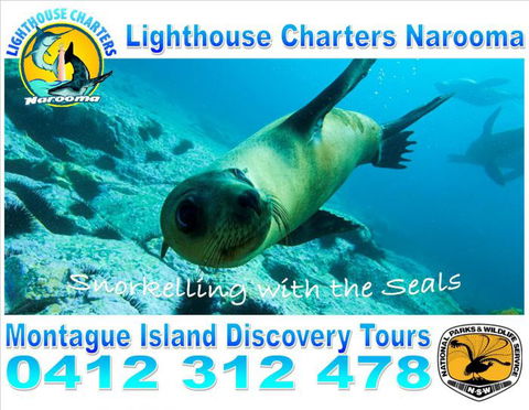 Lighthouse Charters Narooma - Attractions Melbourne 11