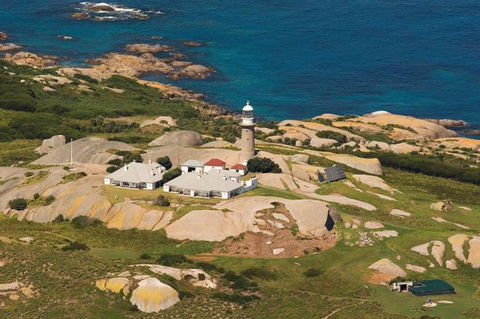 Naturewise Montague Island Nature Escape - Attractions Melbourne 2