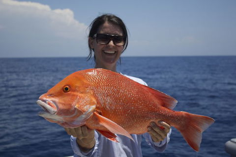 Absolute Ocean Charters - Attractions Melbourne 4