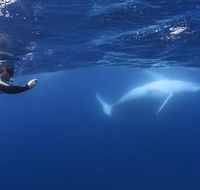 Sunreef Mooloolaba - Attractions Melbourne
