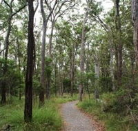 Caboolture Regional Environment Education Centre - Walking Trails - Attractions Melbourne