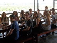 Hunter Valley Wine Tour 4 U
