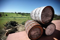 Childers Wine Trail