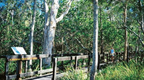 Kinaba Track - Attractions Melbourne 0