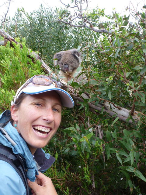 Auswalk Walking Holidays - Attractions Melbourne 2