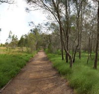 Billai dhagun Circuit Place of She-Oaks - Attractions Melbourne