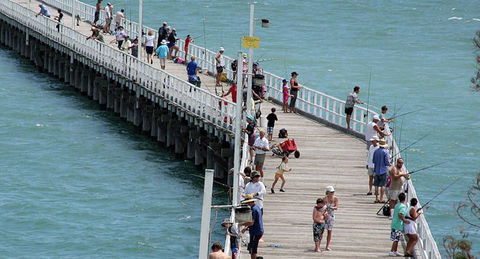 Fraser Coast Amazing Fishing Trails - Attractions Melbourne 24