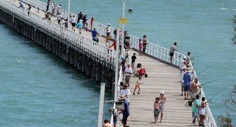 Fraser Coast Amazing Fishing Trails - Attractions Melbourne 27