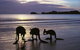 Beachcomber Cove Track - thumb 0