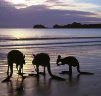 Beachcomber Cove Track - Attractions Melbourne