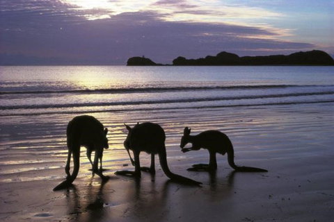 Beachcomber Cove Track - Attractions Melbourne 0