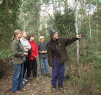 Great Western Tiers Forest Walks Tasmania - Attractions Melbourne