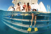 Australian Sunset Safaris
