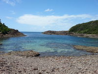 Windang Dive and Spearfishing