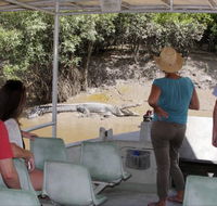 Whitsunday Crocodile Safari - Attractions Melbourne