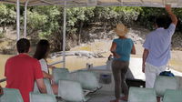 Whitsunday Crocodile Safari