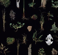 Weswal Gallery - Attractions Melbourne