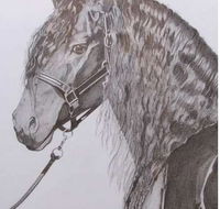 Great Lakes Art Society - Attractions Melbourne
