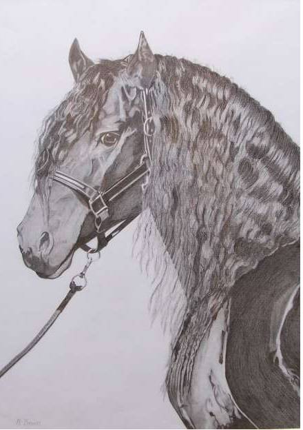Great Lakes Art Society - Attractions Melbourne 0