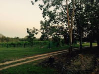 Brierley Wines