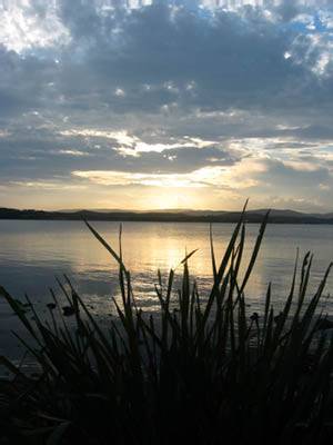 The Next Grind - Attractions Melbourne 1