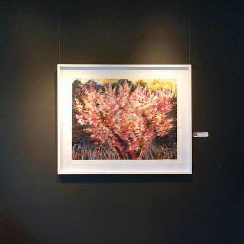 Gallery One - Attractions Melbourne 1