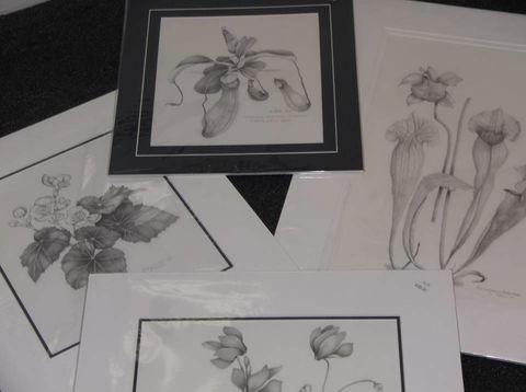 Masterpiece Framing & Gallery - Attractions Melbourne 2