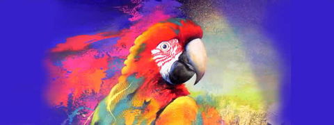 Tina Cooper Gallery - Attractions Melbourne 2