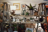 DBar Gallery