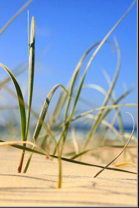 Coastal Visions Photography - Attractions Melbourne 1