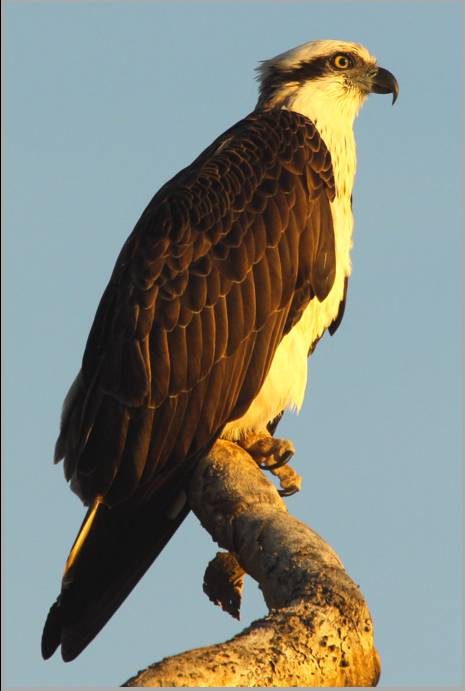 Coastal Visions Photography - Attractions Melbourne 2