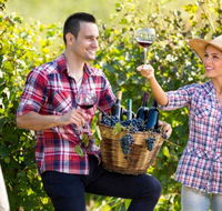 Two Tails Wines - Attractions Melbourne