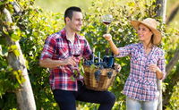 Book Nana Glen Accommodation Vacations Attractions Melbourne Attractions Melbourne