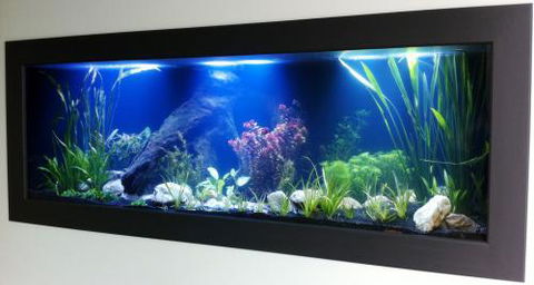 Aquariums In Cairns - Attractions Melbourne 0