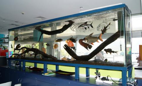Aquariums In Cairns - Attractions Melbourne 2