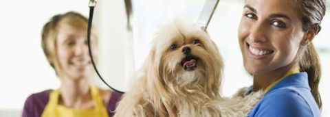 Port Stephens Pet Barn - Attractions Melbourne 1