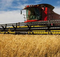 Quirindi Grain and produce - Attractions Melbourne